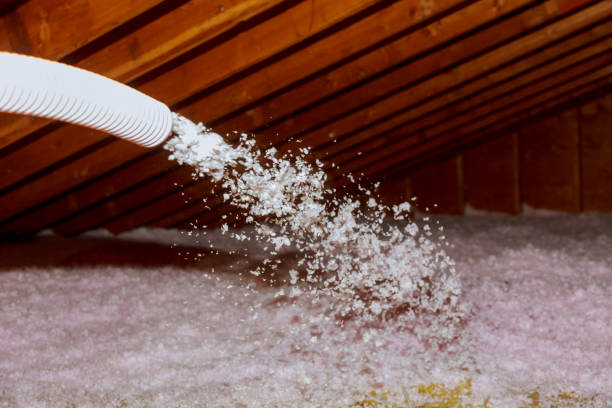 Best Insulation Maintenance and Repair in Diamond Springs, CA