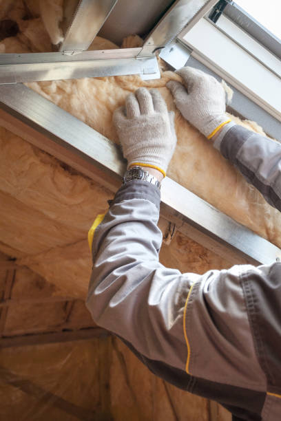 Best Cellulose Insulation in Diamond Springs, CA