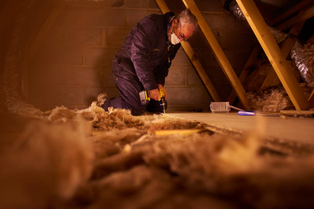 Best Geographic-Specific Insulation Services in Diamond Springs, CA